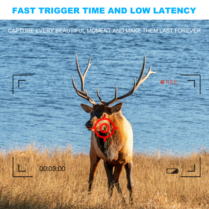 4MP Ngụy Trang Tầm Nhìn Ban Đêm Hồng Ngoại Không Dây Máy Ảnh GPS 4G Năng Lượng Mặt Trời Phát Hiện Cho Săn Bắn Trò Chơi Đường Mòn Góc Rộng 4G CMOS Cảm Biến - Product Image 4