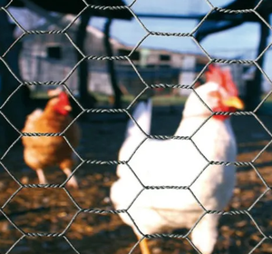 Anti‑Rust Hexagonal Chicken <b>Wire</b> <b>Mesh</b> Roll Low Carbon Iron <b>Wire</b> Netting for Animal Cage Farm Fence Garden Enclosure - Product Image 1