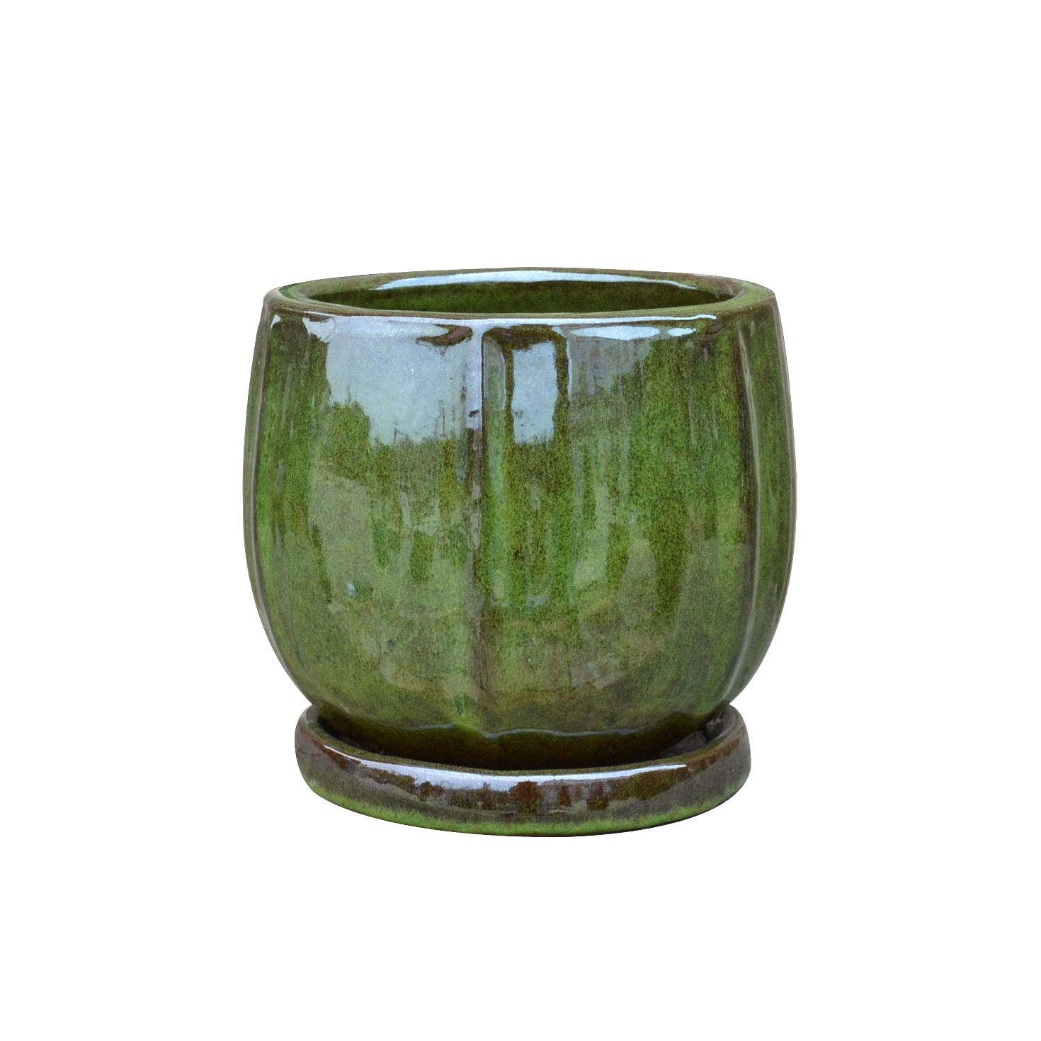 สีเขียวป่า