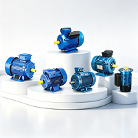 YC-Serie TEFC 0,75KW Hochleistungs-Einphasen-Kondensatorstart-Induktionsmotor IEC IE2 Effizienzklasse Quanneng 220V 50Hz
