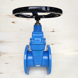 Vanne à opercule à siège élastique en fonte ductile Ggg50 DN125 DIN3352 F4 PN10 PN16 PN25 - Product Image 1