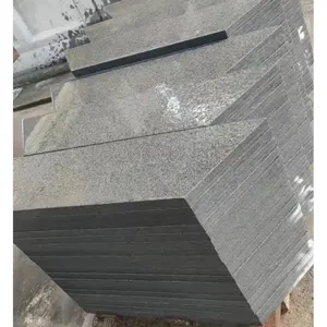 Popüler koyu gri goutdoor açık granit zemini otopark