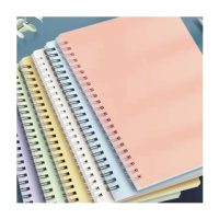 Gran oferta de papelería personalizada A5 planificador de presupuesto cuaderno yo mismo PPJournal Girls planificador cuaderno conjunto de regalo