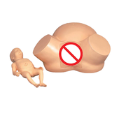 Modelo de Entrenamiento Anatómico Quirúrgico Científico para Obstetricia y Parto, Simulador de Trabajo de Parto para Enseñanza de Ciencias Médicas, Haryana, India