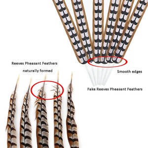 Reeves nhân tạo lông đuôi gà lôi Giao hàng nhanh chóng 70cm-120cm trang phục phụ kiện lễ hội trang trí mũ trang trí thô plumas de - Product Image 3