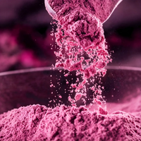 Poudre de pétales de bourgeons de roses roses, extrait de rose, qualité alimentaire, vitamine C, polyphénols, certifié, emballage en fût, en vrac sous vide