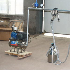 Sistema Fijo de Ordeño con Cubos, Máquina de Ordeño en Venta - Product Image 6