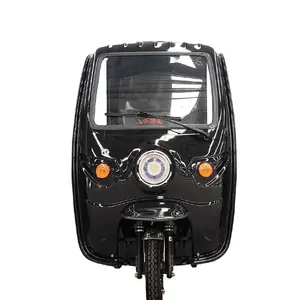 EEC 2023 3 Wheels Cargo Electric Tricycle Fully Enclosed Cargo Scooter Motor With Cabin