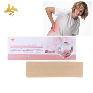 แผ่นแปะแก้ปวดสำหรับผู้หญิงแผ่นสมุนไพรของผู้หญิงสีข้าวสาลีแบบใช้แล้วทิ้งเป็นมิตรกับสิ่งแวดล้อมแผ่นแปะแก้ปวดประจำเดือนออกแบบได้ตามต้องการ - Product Image 1