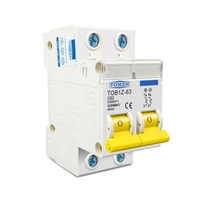 Disjoncteur CC PowMr TOB1Z-600V 2P 12V 64A à commutation en millisecondes, faible consommation d'énergie, IP20, durée de vie de 8000 cycles, CE/CB/ISO9001