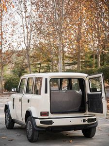 Coche Eléctrico de 4 Ruedas de Alta Calidad Tank900, Perfecto para Viajes Cortos, Mini Vehículo de Nueva Energí<span class=keywords><strong>a</strong></span>, Gran Venta - Product Image 6