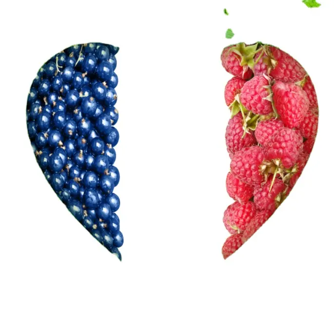 Líquido de sabor a fruta, superconcentrado, frutas, Francia