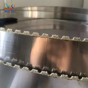 شفرات منشار شريطية ماسية PCD لقطع السيراميك من اليشم المخصص وقضيب الكربون لقطع الزجاج 8820*65*1.25