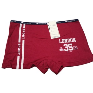 Slip Sportivi in Cotone a Vita Bassa con Logo Personalizzato YCH, Boxer Femminili con Lettere Stampate per Studentesse - Product Image 5