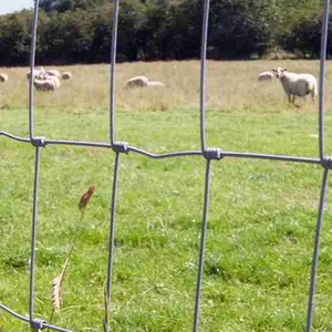 Jaring Kawat Pagar Ternak Baja Karbon Rendah Galvanis Celup Panas 1.8*<span class=keywords><strong>2</strong></span>.0mm Hemat Biaya dan Efisien untuk Peternakan, Promo 2025 - Product Image 4