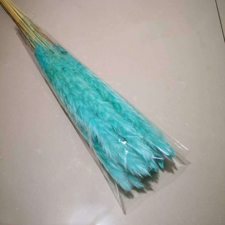 60-80cm