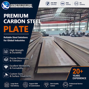 Q345B S355JR Shot Blasted Cold Rolled 10mm 600mm JIS G3101 Carbon Steel Plate for Bridge Fabrication - Product Image 1