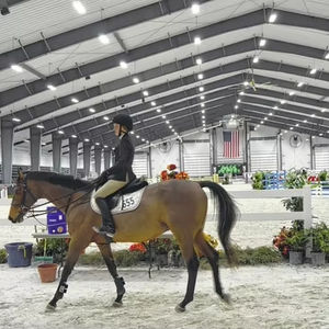 Steel <span class=keywords><strong>Horse</strong></span> Metal Riding Arena für Indoor-Pferde aktivitäten in Hallen - Product Image 1