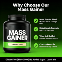 Poudre de protéines pour la prise de masse musculaire pour adultes OEM, gain de poids, vitamine C, soutien immunitaire, formule personnalisée