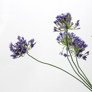 Fábrica al por mayor Artificial Agapanthus <span class=keywords><strong>Africanus</strong></span> flores de lirio de seda para Bodas de Navidad Día de San Valentín graduación Pascua - Product Image 4