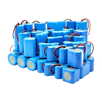 Harga Terjangkau Baterai LiFePO4 Isi Ulang 32650 Sel Silinder 3S1P Pack 9.6 Volt 6000mAh untuk Robot Tenaga Listrik Portabel