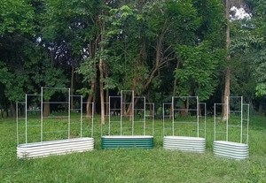 Powder Coated Steel Garden Craft <b>Trellis</b> 17in Tall Wall for Home Plant Growing & Climbing Support - Product Image 4
