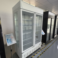 Réfrigérateur vertical de supermarché pour boissons, bières et colas – Vitrine réfrigérée