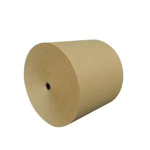 White/Brown Kraft Paper Roll Wrapping Paper For Making Paper Bag