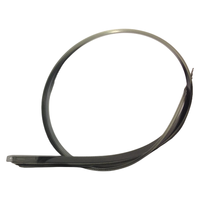 Eco solvent Printer R1800 R1390 1400 2000 L1300 1800 ME1100 Encoder Strip kisi pita Strip