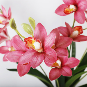 กล้วยไม้ซิมบิเดียมประดิษฐ์ 5 ก้าน ทำจากพลาสติกนิ่ม งานแฮนด์เมด ตกแต่งบ้าน อุปกรณ์ประกอบฉากงานแต่งงาน - Product Image 2