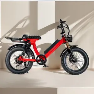 2024 Bicicleta de estrada elétrica personalizada de 20 polegadas 750 W/1000 W 36 V/48 V