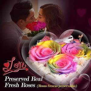 Rosa Eterna en Forma de Oso para el Día de San Valentín y Navidad, Puerta Doble con Caja de Regalo, Rosa Roja Eterna - Product Image 3