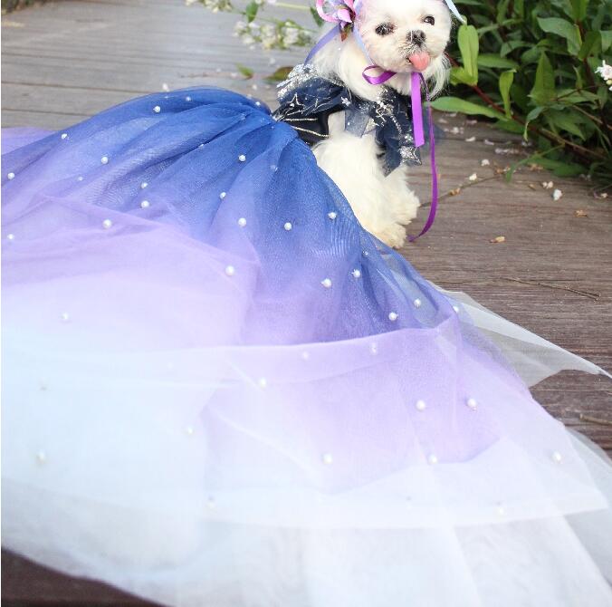 New Bright Star Pet Dog Long Style Wedding Dress - Elegant & Sustainable New Bright Star Pet Dog Long Style Wedding Dress - Elegant & Sustainable