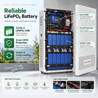 Batterie lithium LiFePO4 murale 51,2 V 100 Ah 5 kWh avec WiFi et Bluetooth pour système de stockage d'énergie solaire domestique