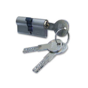 ISEO lucchetto a cilindro nichelato 56mm 28x28 82 r7028289 per varie applicazioni - Product Image 1