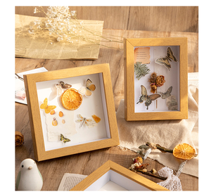Boîte à fleurs séchées 3D creuse de 3/5 cm avec cadre intérieur détachable, cadre photo de présentation pour spécimens de papillons à faire soi-même - Product Image 4