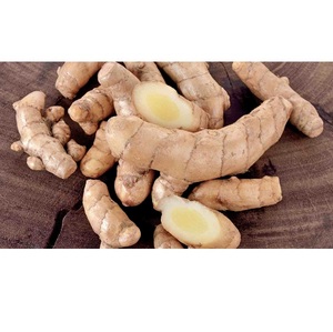Curcuma blanc pur offrant un soutien naturel à base de plantes pour la santé immunitaire, le bien-être digestif, les bienfaits anti-inflammatoires et l'énergie - Product Image 1