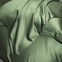 Haute qualité couleur unie Textiles de maison drap de lit vert 4 pièces housse de couette 100S longue agrafe coton housse de couette ensemble de literie