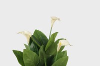 Plante artificielle en plastique au toucher réel, Calla Lily Bonsai, 107 cm, 18 feuilles, jaune vert, écologique, résistante aux UV, haute qualité, pour intérieur