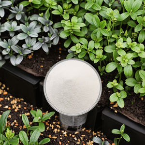 शाकाहारी शिशु सूत्र आधार के लिए हाइपोएलर्जेनिक चावल पेप्टाइड - Product Image 1