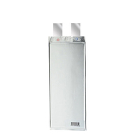 Sel Baterai Pouch Lithium Lifepo4 GBT 4C 16C Discharge 3.2V 70Ah 58Ah untuk Solar EV Skuter Grosir