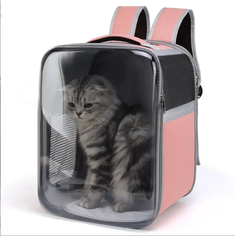 Sıcak satış kedi tasarım sırt çantası kamera ile besleyiciler otomatik evcil hayvan besleyici çanaklar