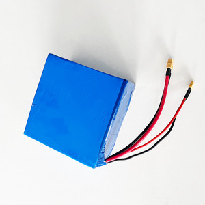 Bateria Recarregável de Fosfato de Ferro-Lítio OEM LFP 33140 8S1P 25.6V 15Ah LiFePO4 - Product Image 5