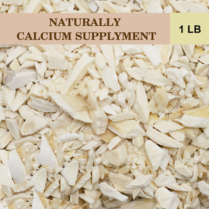 Vente chaude os de seiche cassé meilleur prix taille personnalisée os de seiche calcium vitamine D3 essentiel soin des oiseaux - Product Image 4