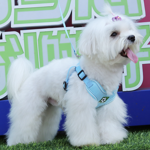 Adjustable Sport Style Outdoor Walking Pet Harness New Design Soft Dog Vest with Reflective Chest Strap Pet Leash Set - Product Image 3