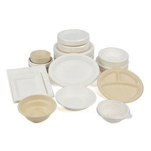 Eco-friendly Biodegradable Cornstarch Food Tray Tableware and Packaging Plates <strong>Bowl</strong> for Party Use - Product Image 6