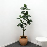 Nouveauté, arbre en caoutchouc artificiel de 180 cm réglable, décoration de salon, plantes en caoutchouc artificiel