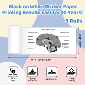 Papel para <span class=keywords><strong>Impresora</strong></span> Mini <span class=keywords><strong>Phomemo</strong></span> <span class=keywords><strong>T02</strong></span>, 53 mm x 3,5 m, Compatible con la <span class=keywords><strong>Impresora</strong></span> de Bolsillo Mini, Duración de 10 Años, para Diario, Fotos, Notas, Recibos - Product Image 3