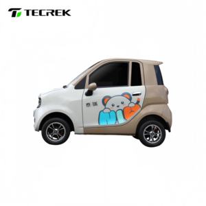 אופניים חשמליים סגורים בעלי 4 גלגלים להובלת נוסעים ומטען, טקרק, מיקרו רכב חשמלי דו-מושבי, 3000 וואט, טווח נסיעה 90 ק\\\"מ - Product Image 2