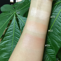 Fond de teint naturel pour le visage en marque privée, pinceau de maquillage, fond de teint imperméable, couvrance totale, fond de teint changeant de couleur en bâton